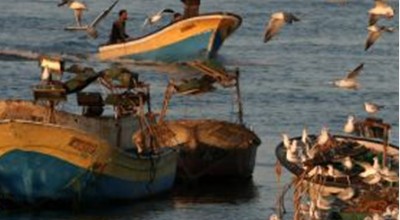 WG1: Discards (demersal fisheries) - Larnaka 2016