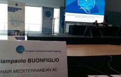 Seminar on the Five-Year Independent External Evaluation of the EFCA
