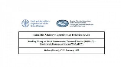 GFCM-SAC-Working Group on Stock Assessment of Demersal Species (WGSAD)-Central & Eastern Med & Adriatic Sea stocks