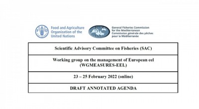 GFCM Working group on the management of European eel (WGMEASURES-EEL)