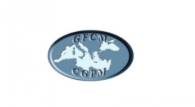 GSA 16-17-18 GFCM Recc.