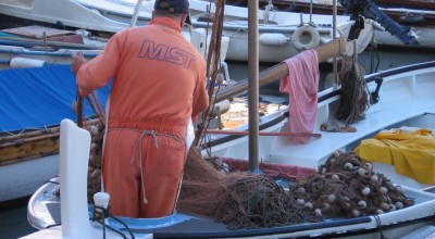 MEDAC opinion on the socioeconomic situation of the fisheries sector in the Mediterranean Sea