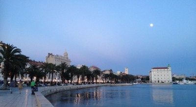Focus Groups on Straits of Sicily and Western Mediterranean